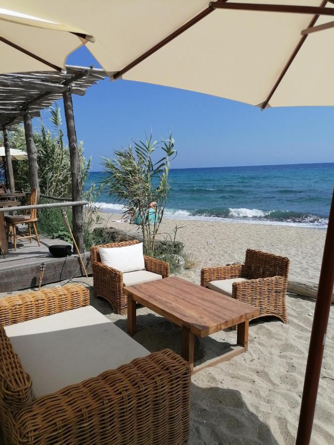 Studio 4 Personnes Bord De Mer Avec Piscine Wifi Cervione Zewnętrze zdjęcie