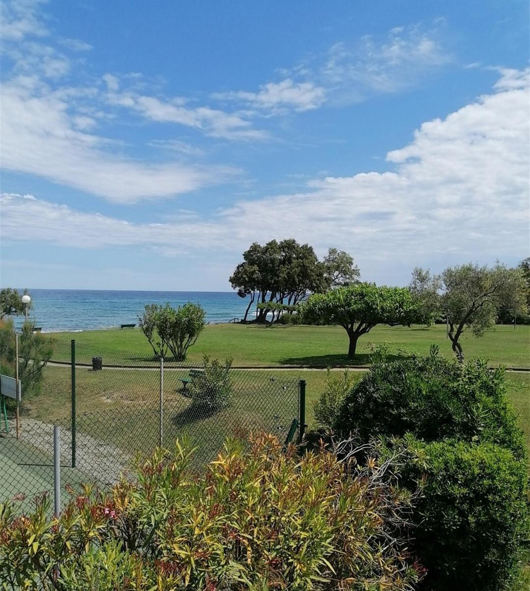 Studio 4 Personnes Bord De Mer Avec Piscine Wifi Cervione Zewnętrze zdjęcie